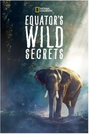 探秘野性赤道海报