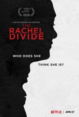 瑞秋的鸿沟海报