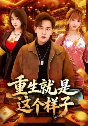 重生就是这个样子海报