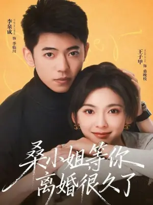 桑小姐,等你离婚很久了海报