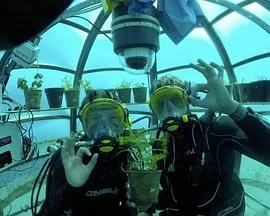 海洋大宝藏(粤语)海报