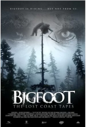 失落海岸的录像带海报