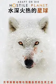 水深火热的星球海报