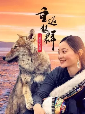重返狼群--10周年纪念版海报