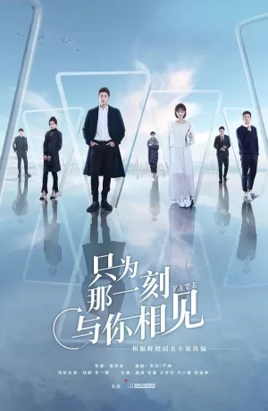 只为那一刻与你相见网络版海报