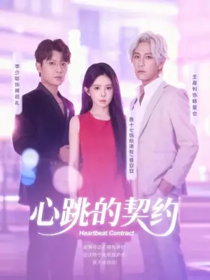 心跳的契约海报