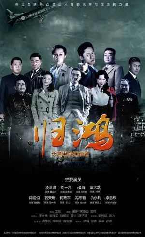 归鸿网络版海报