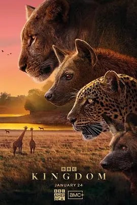 动物王国2025(国语)海报