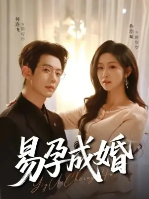 易孕成婚海报