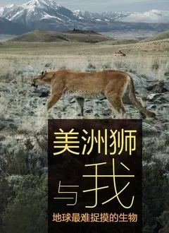 美洲狮与我海报