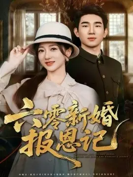 六零新婚报恩记海报