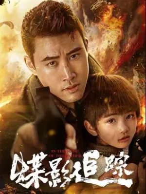 蝶影追踪海报