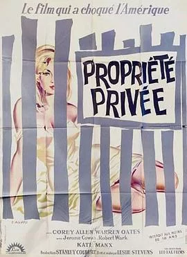 私人财产海报