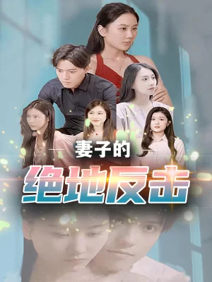 妻子的绝地反击海报