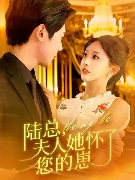 陆总,夫人她怀了您的崽海报