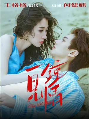 一见钟情海报