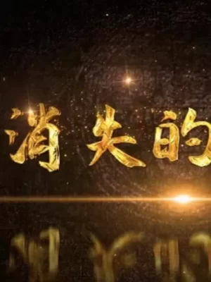 消失的脏物海报