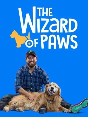 爪子魔法师第一季海报