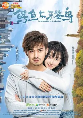 鳄鱼与牙签鸟[DVD版]海报