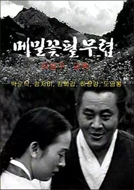 荞麦花开放之时[电影解说]海报