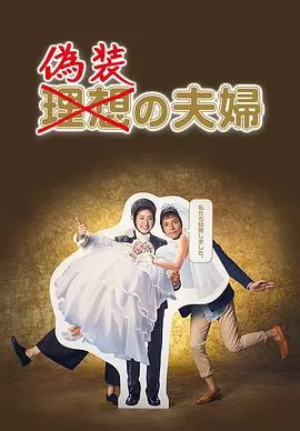 伪装夫妇海报