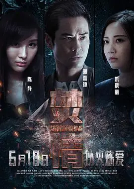 焚情(粤语)海报
