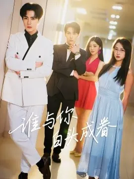 谁与你白头成眷海报