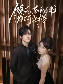 顾总,苏秘书为何这样海报