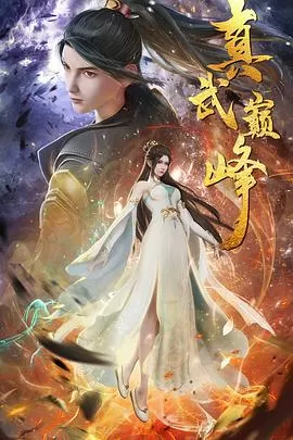 真武巅峰[电影解说]海报