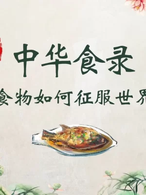 中华食录简史海报