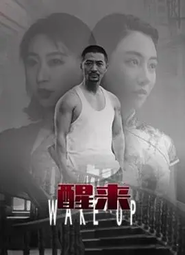 醒来海报