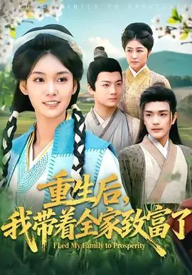 重生后,我带着全家致富了海报