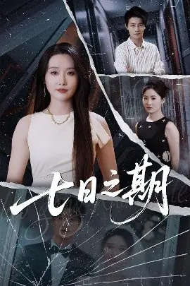 七日之期海报
