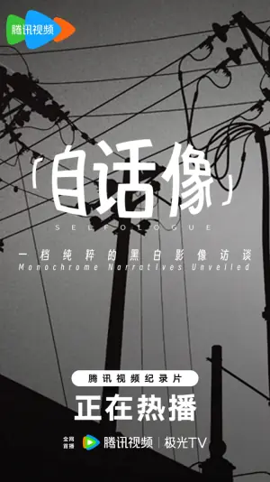 自话像海报