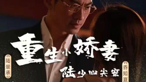 重生小娇妻,陆少心尖宠海报