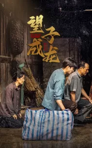 新版:望子成龙海报