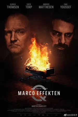 悬案密码5:马可效应海报