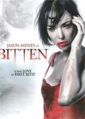 与吸血鬼同床海报