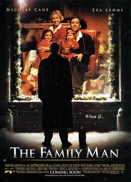 居家男人TheFamilyMan海报