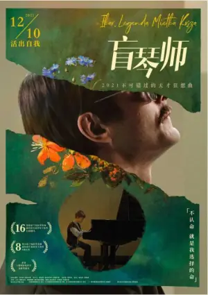 盲琴师海报