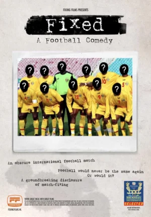 已修复:足球喜剧海报