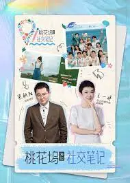 <桃花坞>社交笔记海报