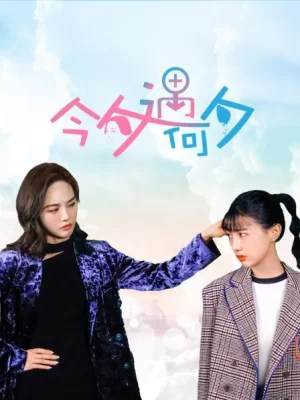 今夕遇何夕海报