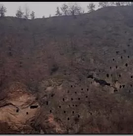 狩猎场·寄死窑海报