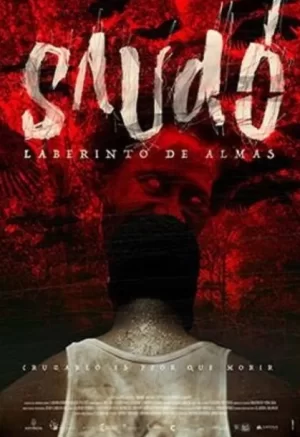 索多罗的灵魂迷宫海报