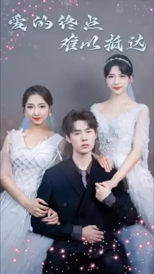 爱的终点难以抵达海报