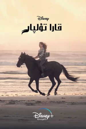 黑神驹[影视解说]海报