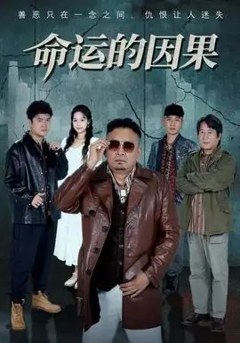 命运的因果海报