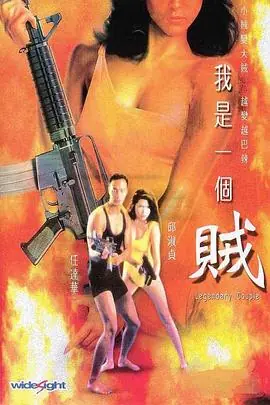 我是一个贼(国语)海报