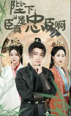 陛下,臣真是忠臣啊海报